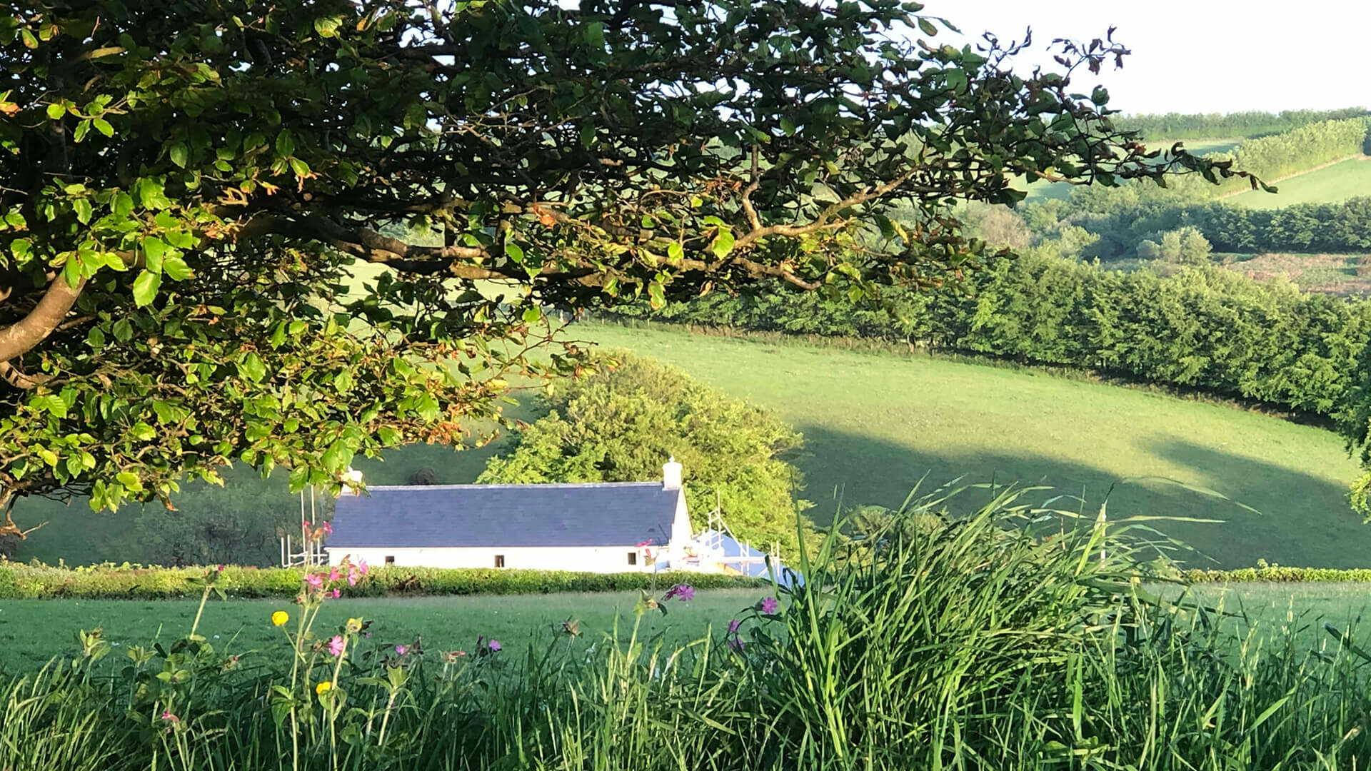 cottage Brendon Hills, Somerset