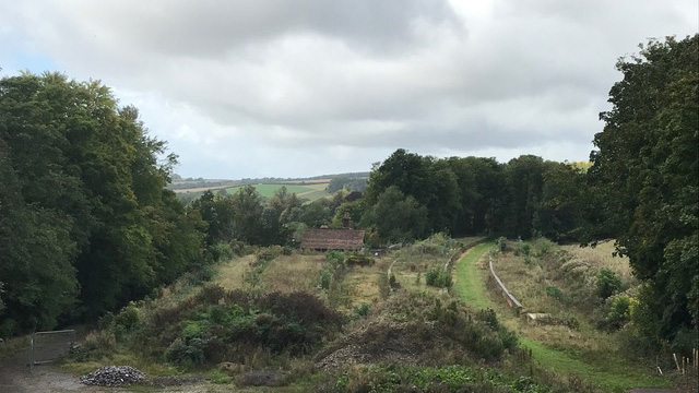 Singleton Station before the conservation repair works began